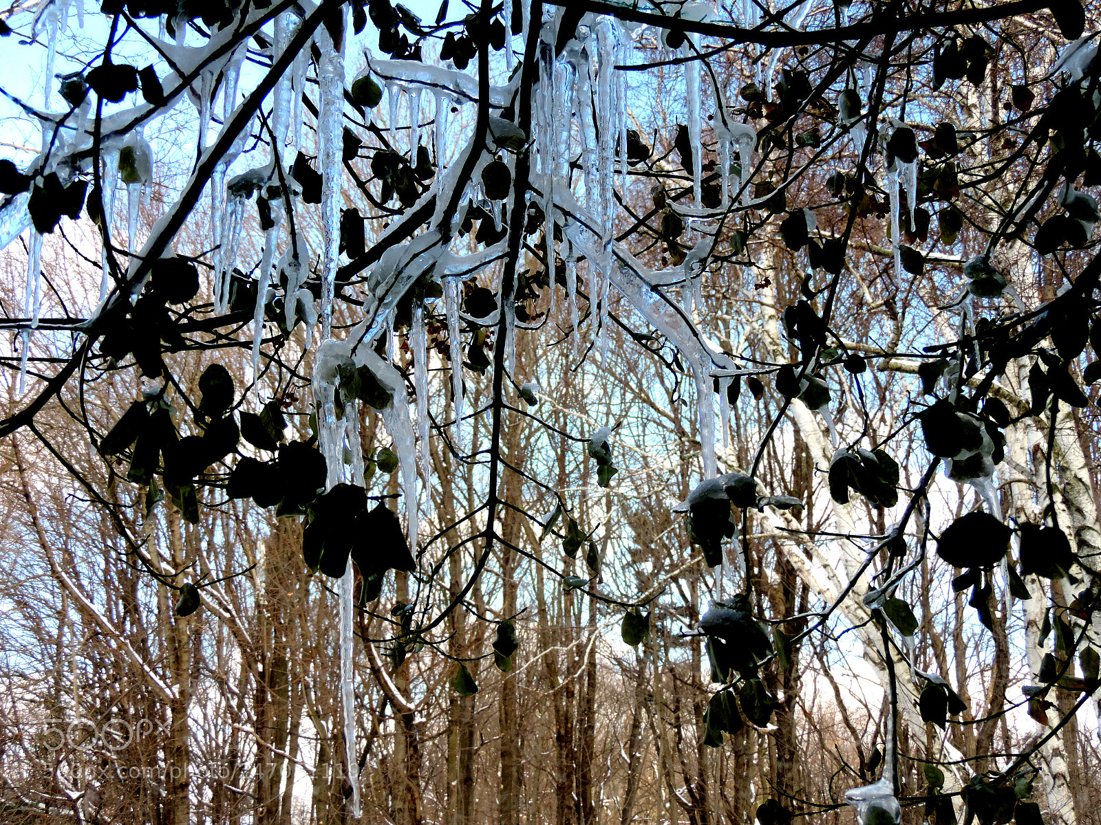 Nikon Coolpix P520 sample photo. Ice thru the window 3 photography