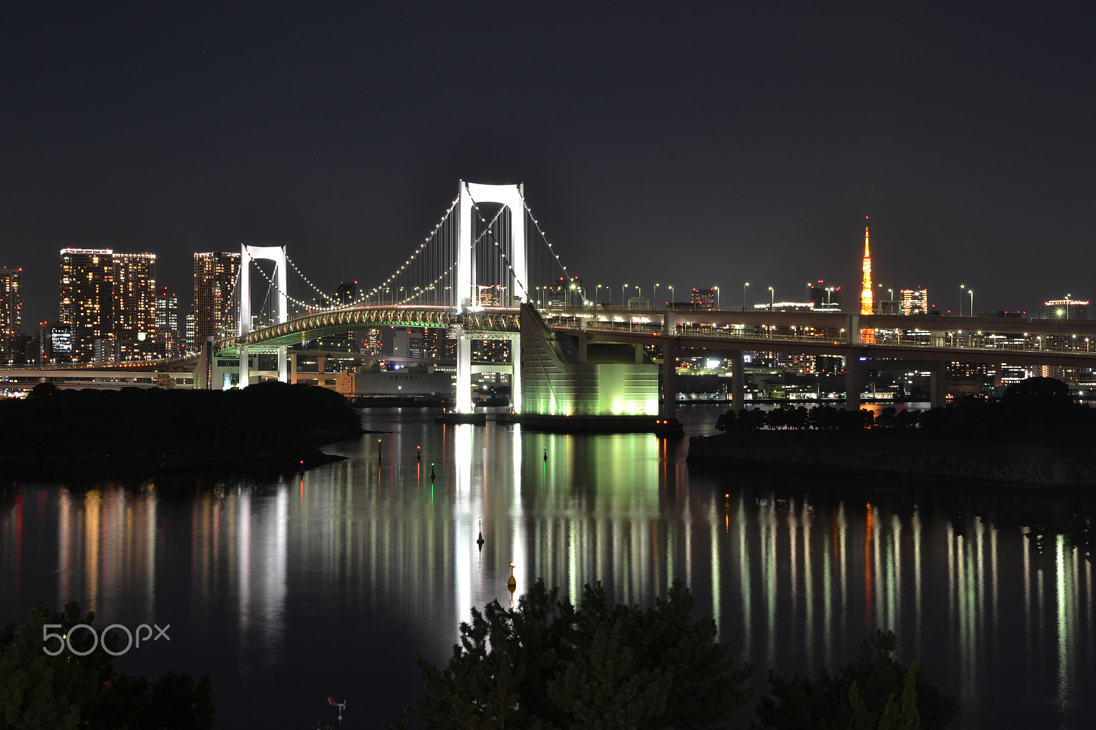 Nikon D3100 sample photo. Odaiba-rainbow bridge photography