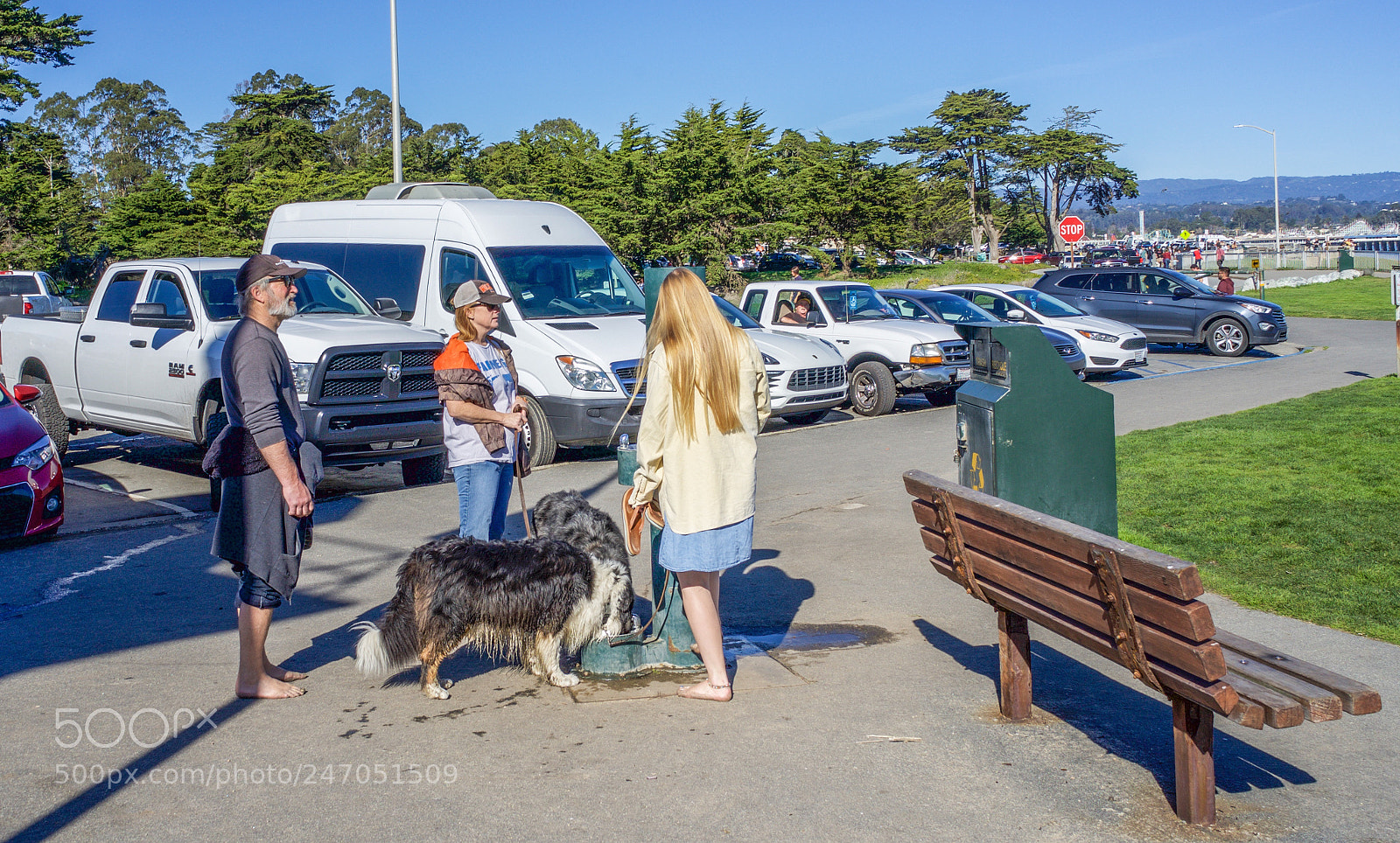 Sony a7 sample photo. Santa cruz surfing museum photography