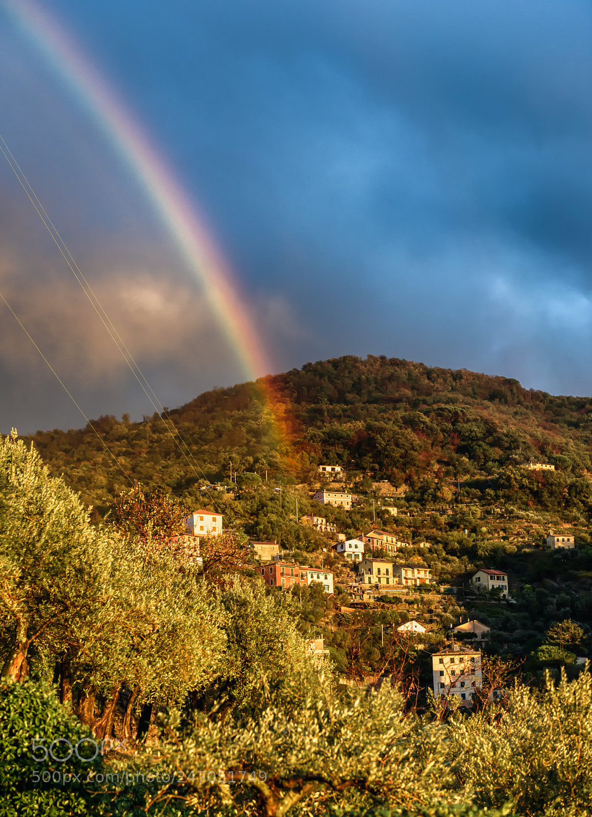 Nikon D810 sample photo. Rainbow in autoumn photography