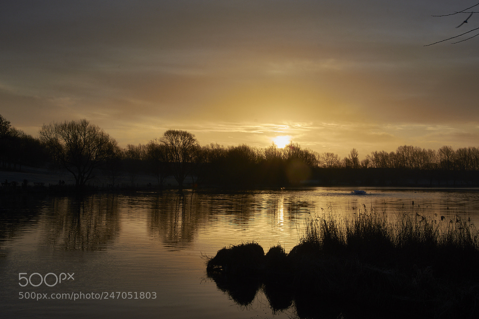 Nikon D7200 sample photo. Good morning sunshine photography