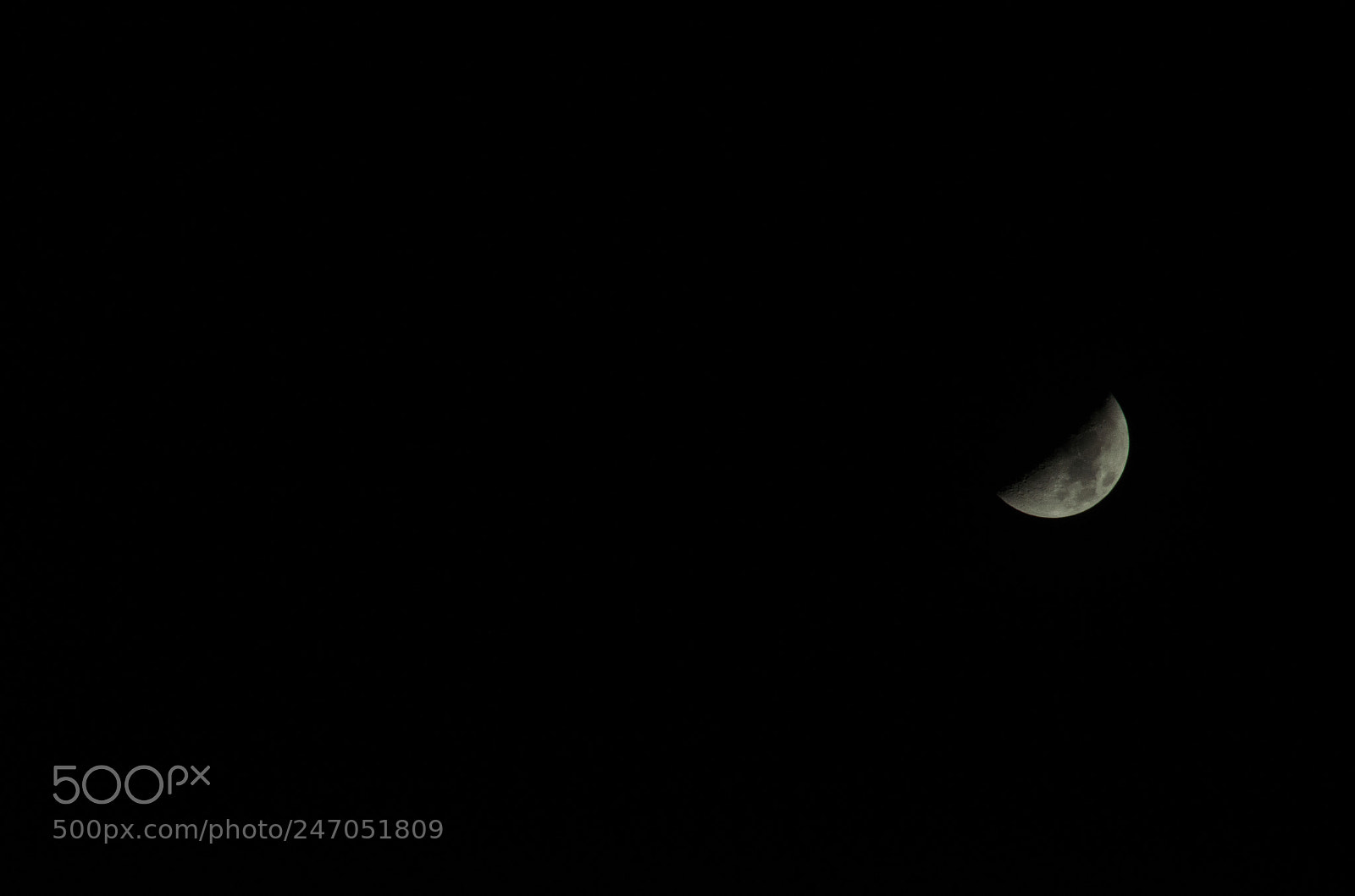 Nikon D5100 sample photo. Which is the side photography