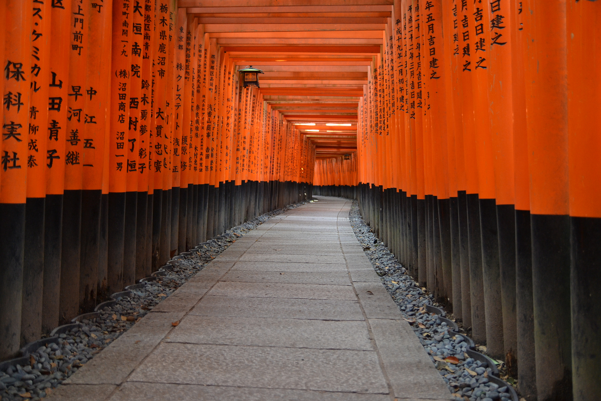 Nikon D3100 sample photo. Fushimi inari, kyoto, japan photography