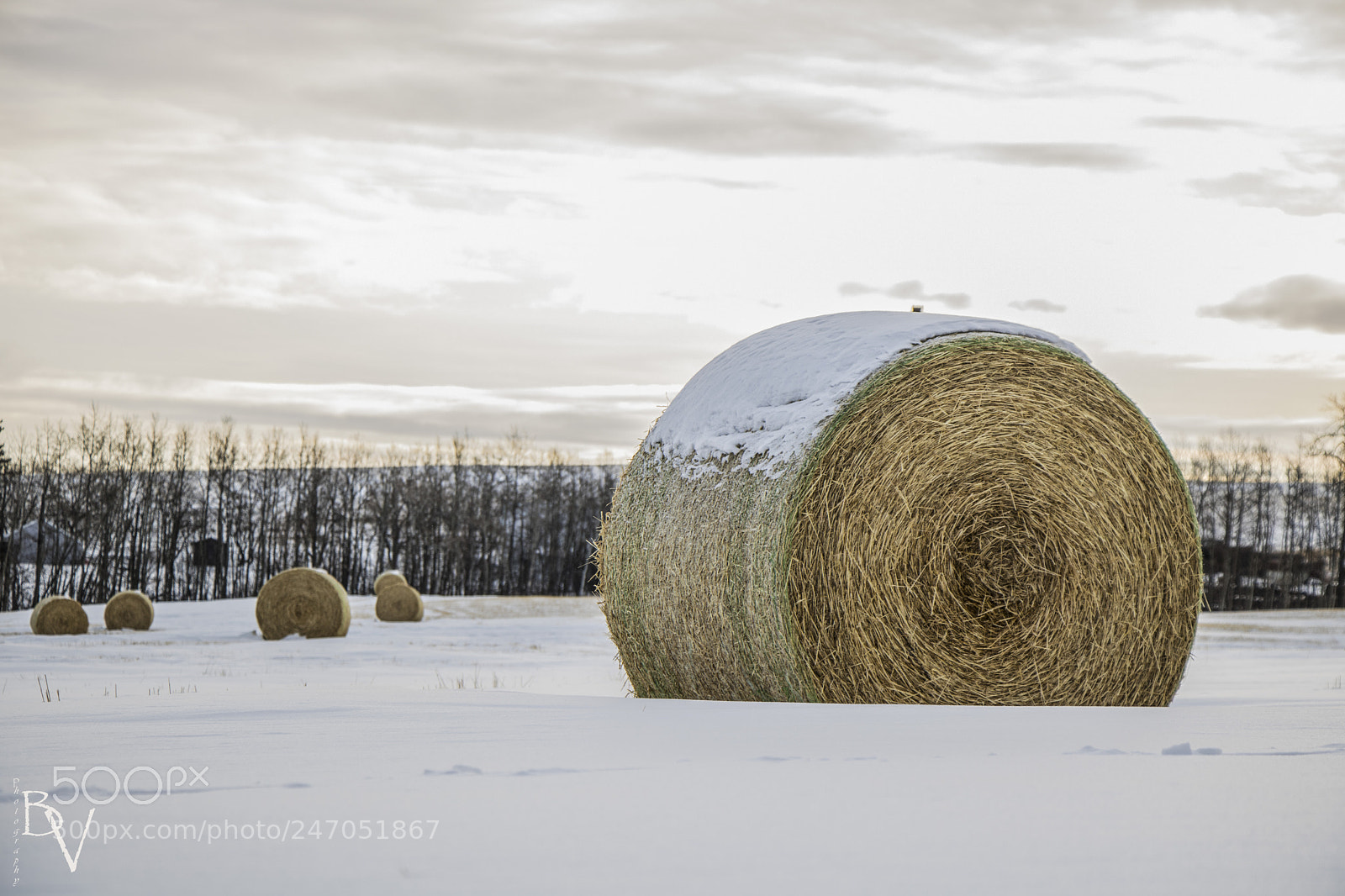Canon EOS 760D (EOS Rebel T6s / EOS 8000D) sample photo. Bales of hay photography