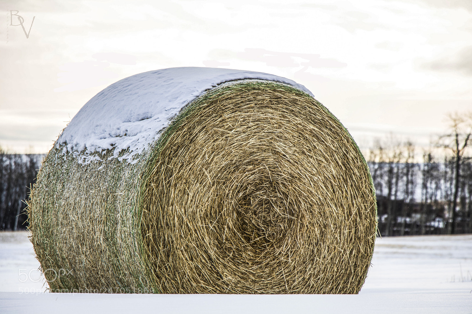 Canon EOS 760D (EOS Rebel T6s / EOS 8000D) sample photo. Bales of smelling hay photography