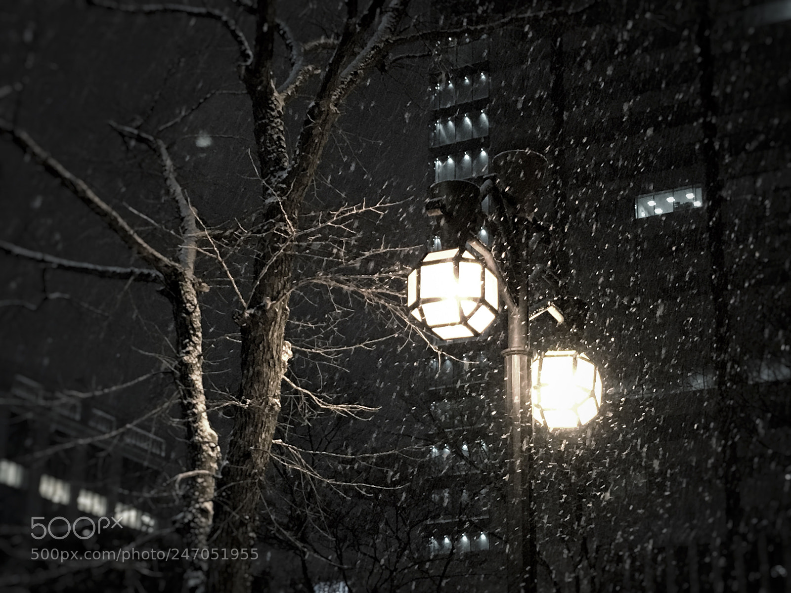 Apple iPhone 6s Plus sample photo. Snowy night photography