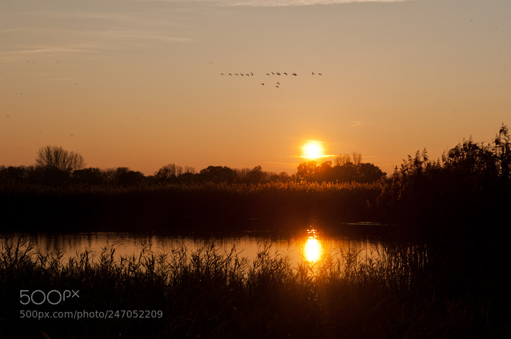 Nikon D700 sample photo. Sunset photography