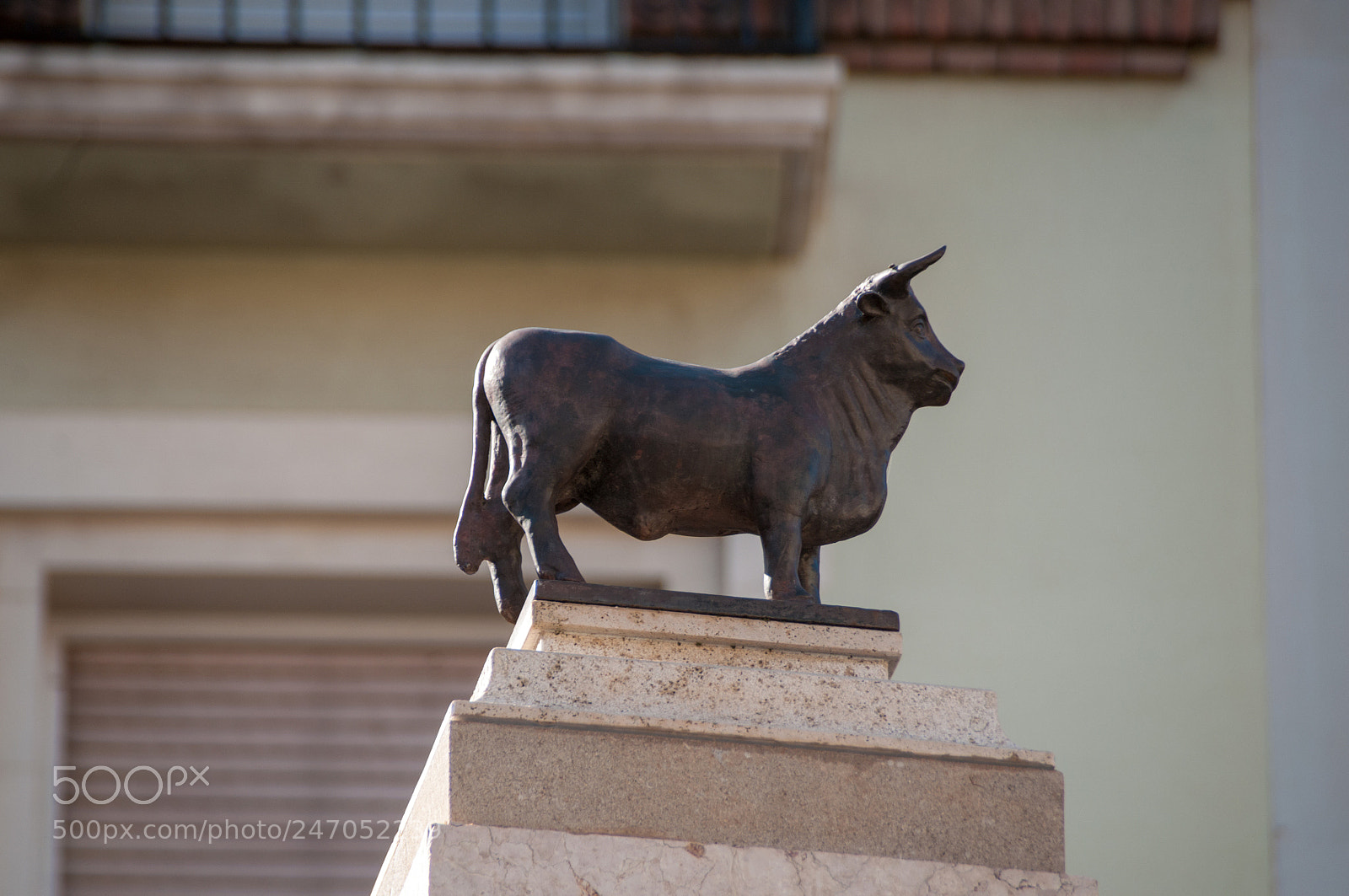 Nikon D300S sample photo. Teruel photography
