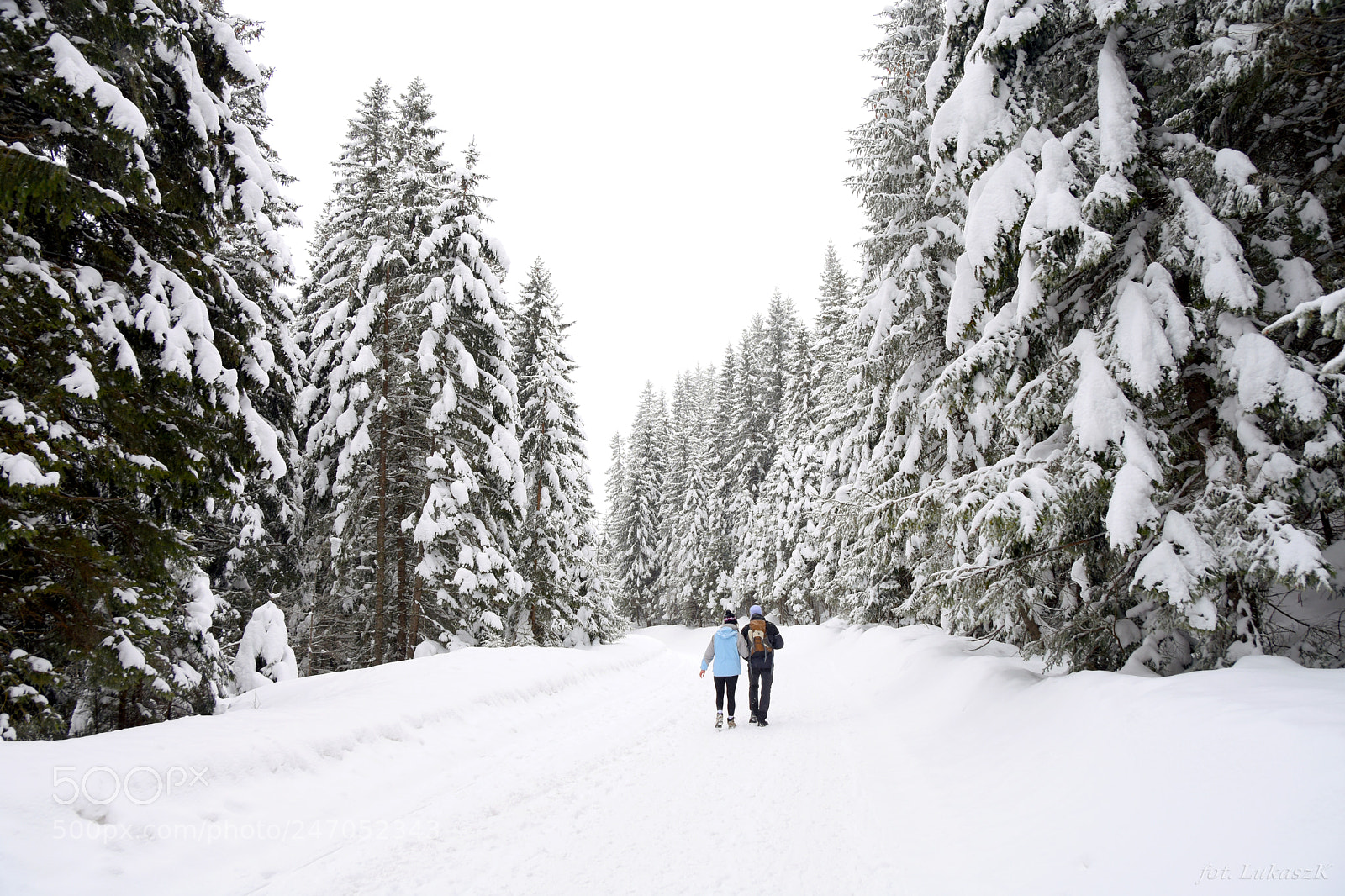 Nikon D7200 sample photo. Snowing road photography