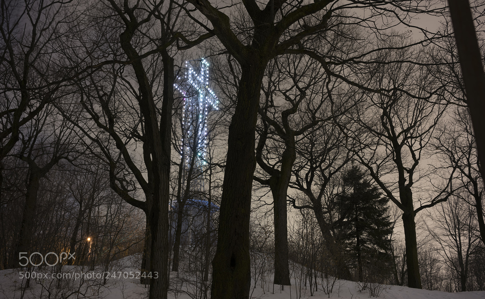 Sony a7 II sample photo. Le mont royal photography