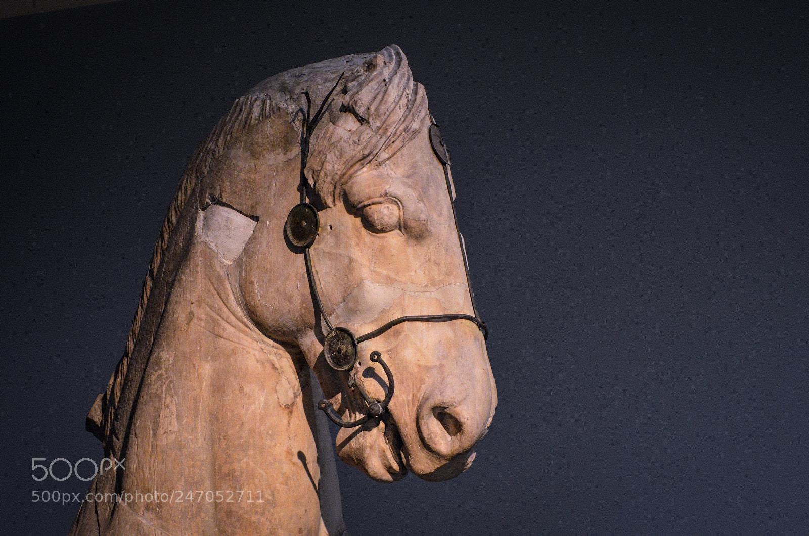 Nikon D3200 sample photo. Greek horse british museum photography