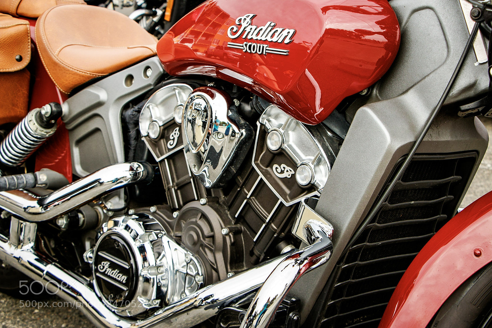Canon EOS 760D (EOS Rebel T6s / EOS 8000D) sample photo. Indian scout photography