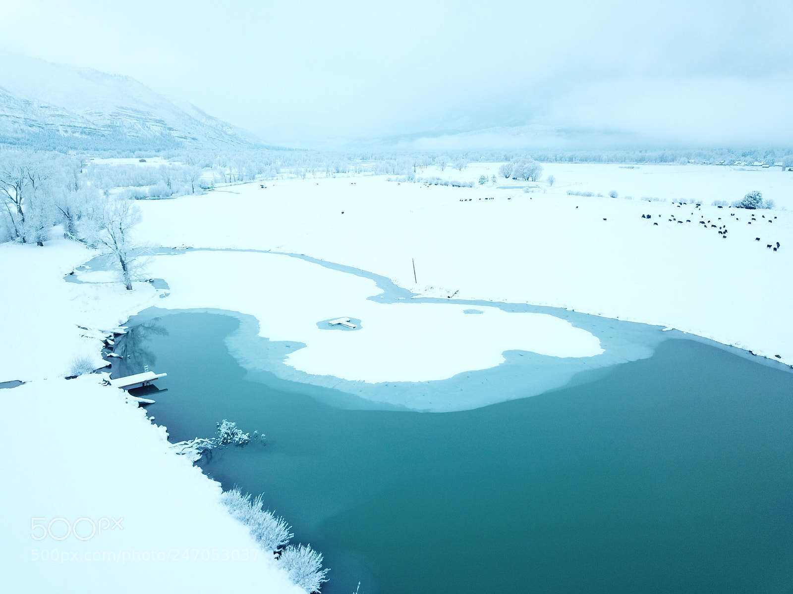 DJI FC220 sample photo. Dcim\100media\dji_0122.jpg photography