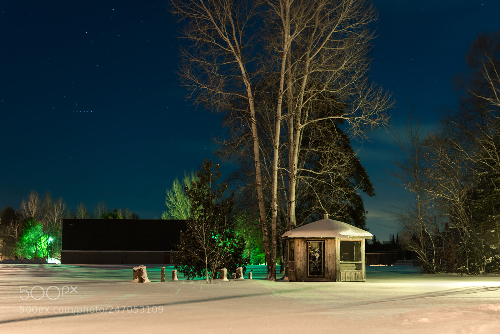 Nikon D7100 sample photo. Back yard blue hour photography