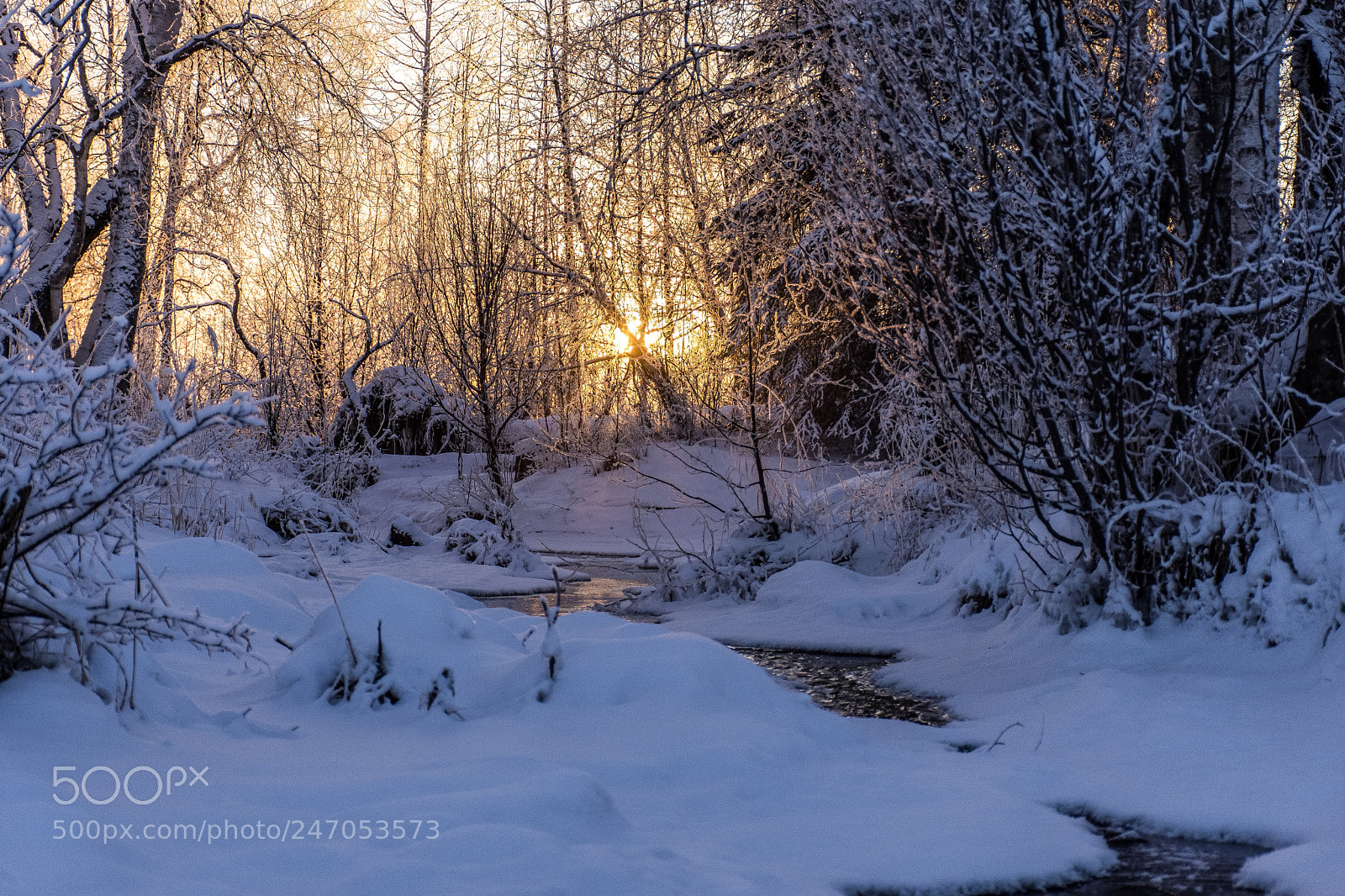Nikon D7200 sample photo. The colors of winter photography