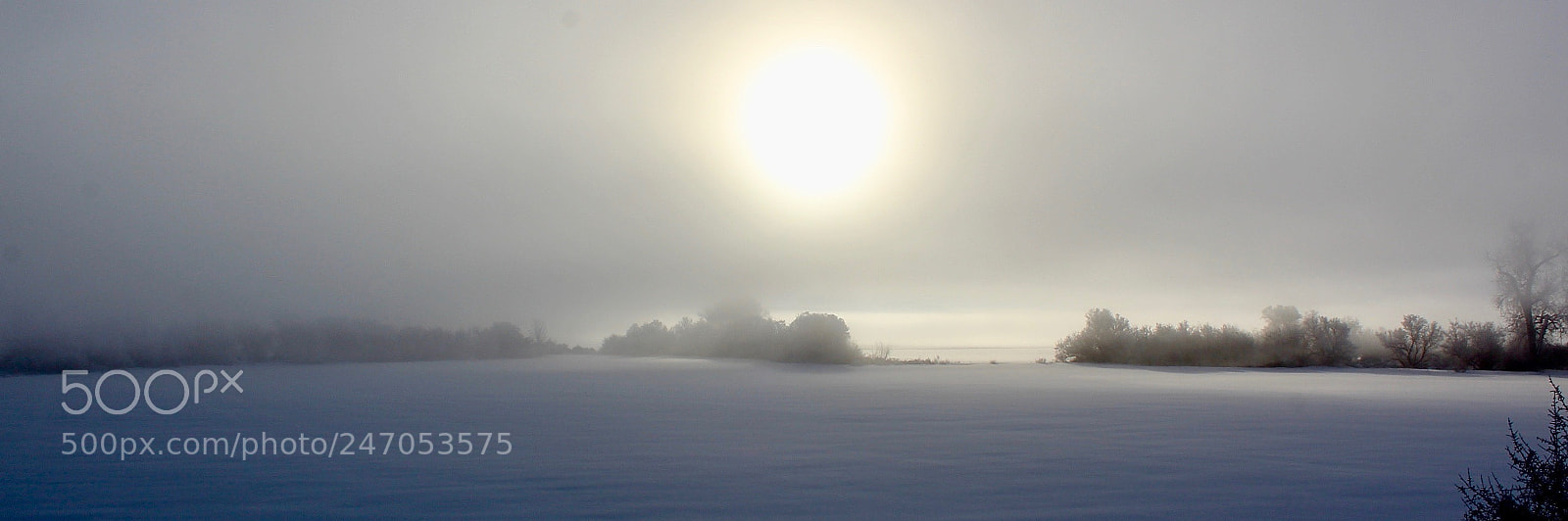 Canon EOS 600D (Rebel EOS T3i / EOS Kiss X5) sample photo. Ice fog day two #4 photography