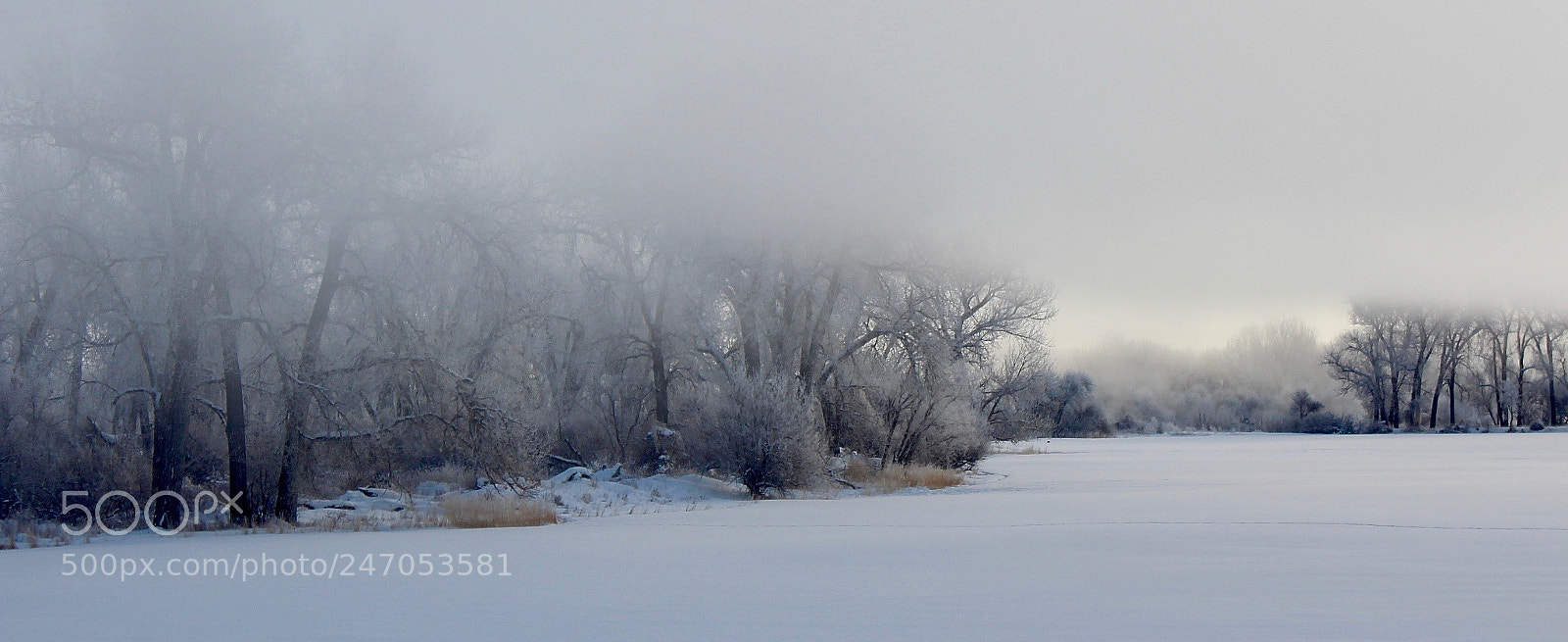 Canon EOS 600D (Rebel EOS T3i / EOS Kiss X5) sample photo. Ice fog day two #2 photography