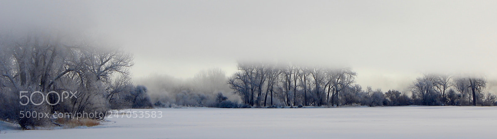 Canon EOS 600D (Rebel EOS T3i / EOS Kiss X5) sample photo. Ice fog day two #1 photography