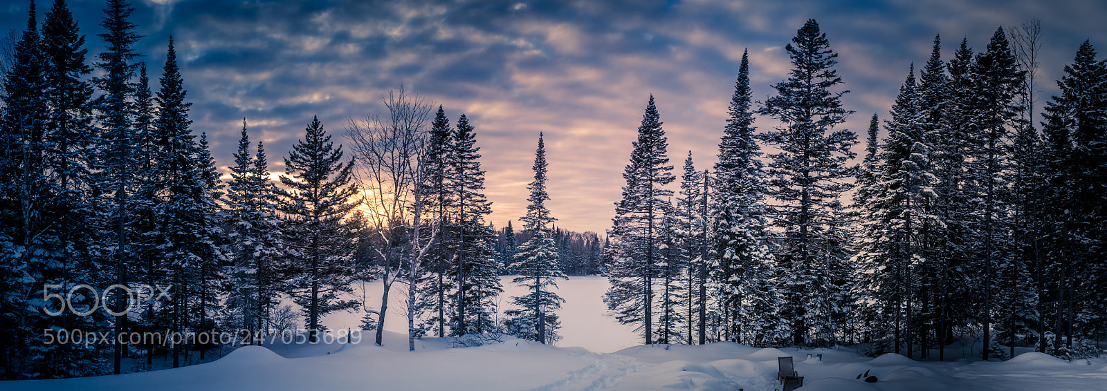 Nikon D7100 sample photo. Still winter photography