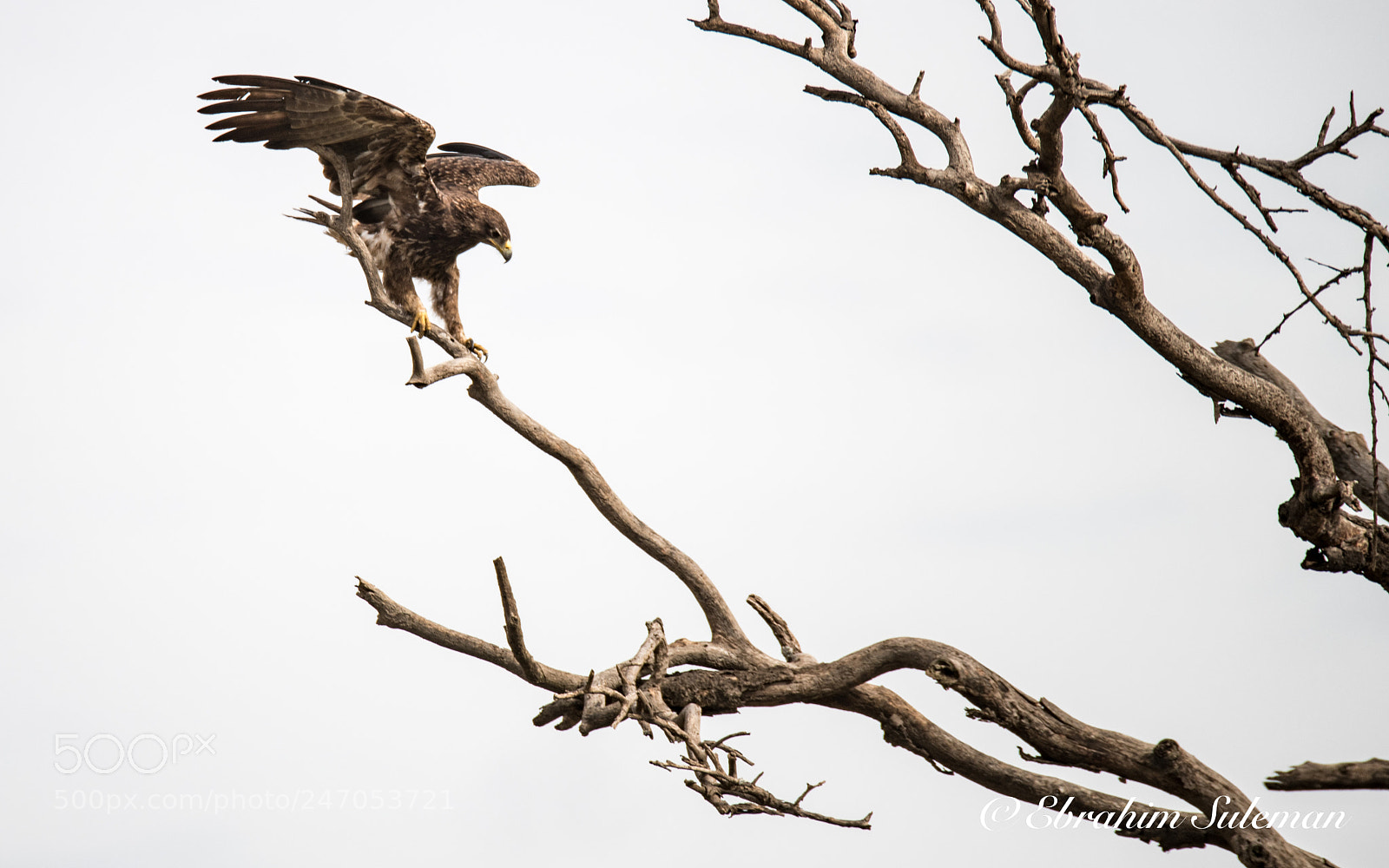 Nikon D850 sample photo. Cool landing photography
