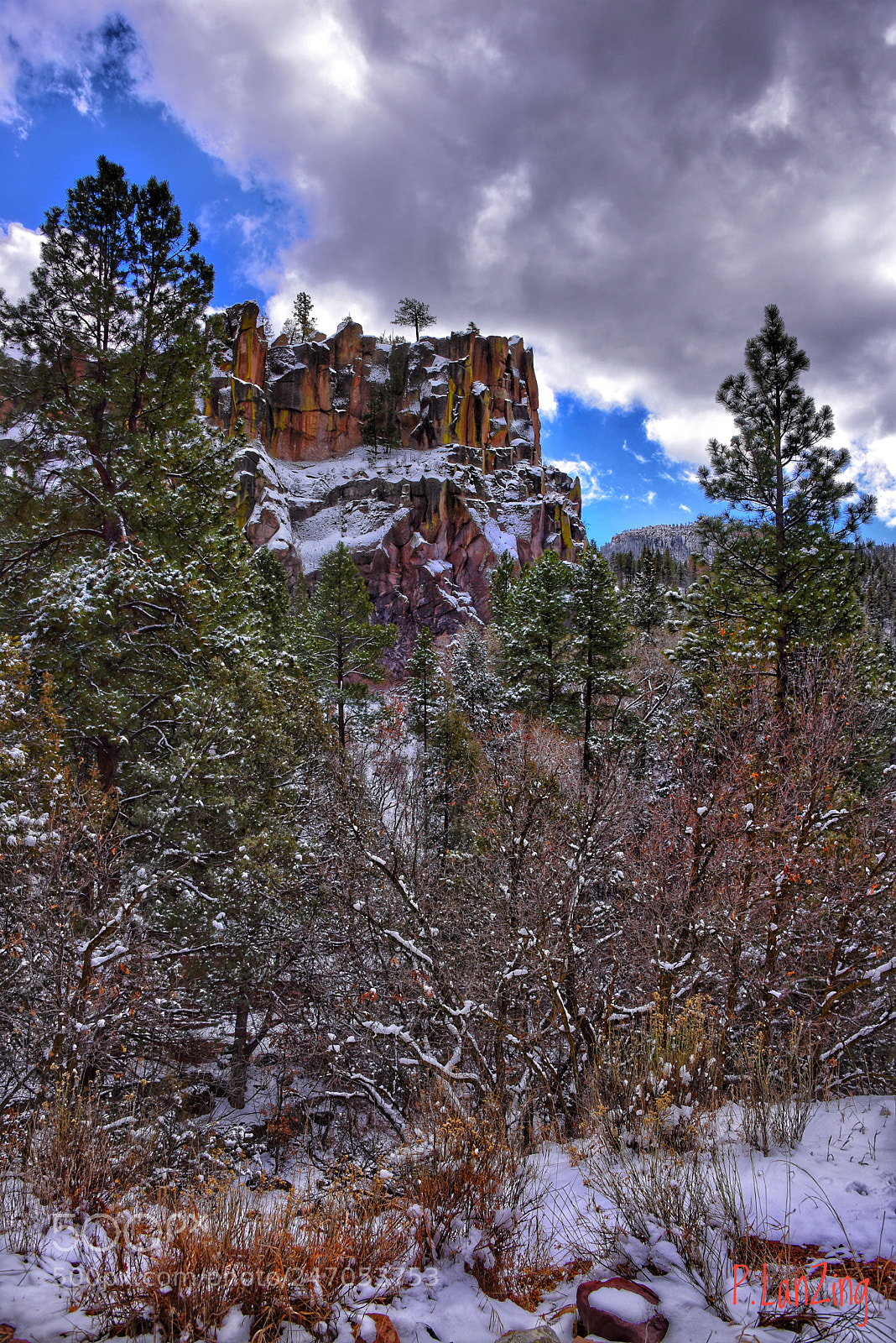Nikon D810 sample photo. Snow on the jemez photography