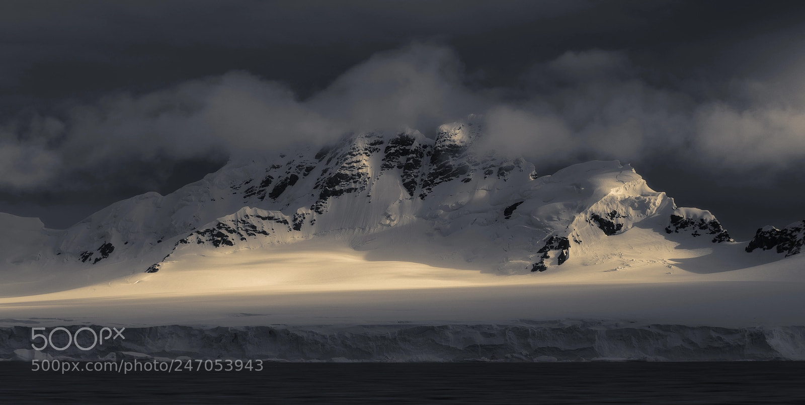 Nikon D800 sample photo. Antarctic kingdom photography