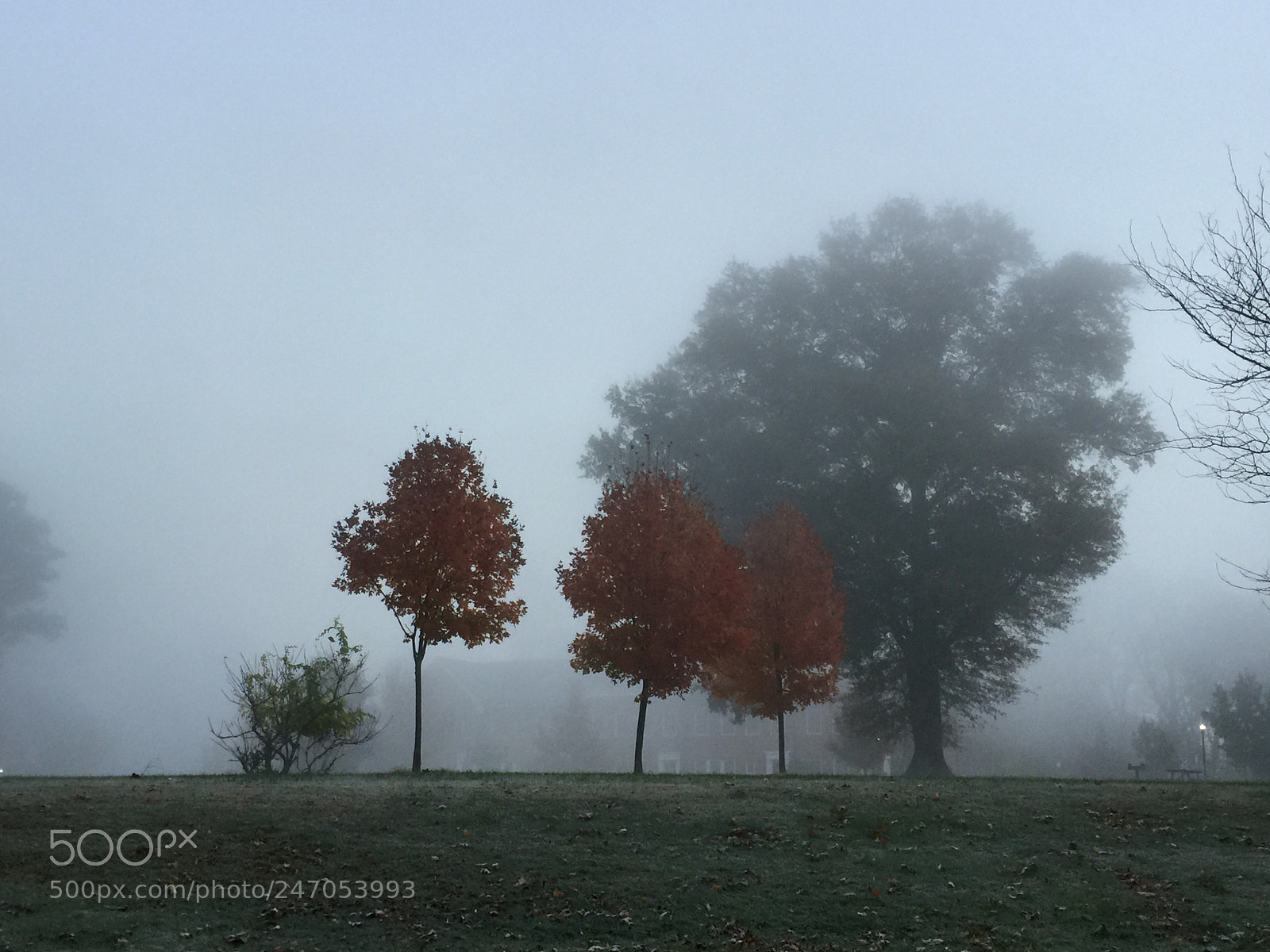 Apple iPhone 6 Plus sample photo. Of a mind photography
