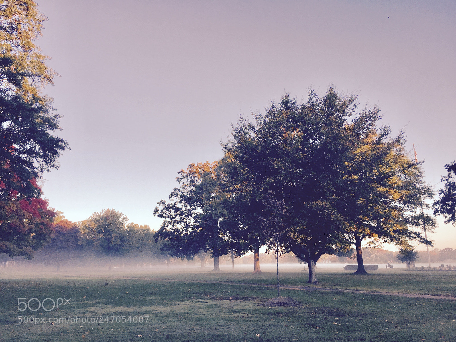 Apple iPhone 6 Plus sample photo. Mist serpent photography
