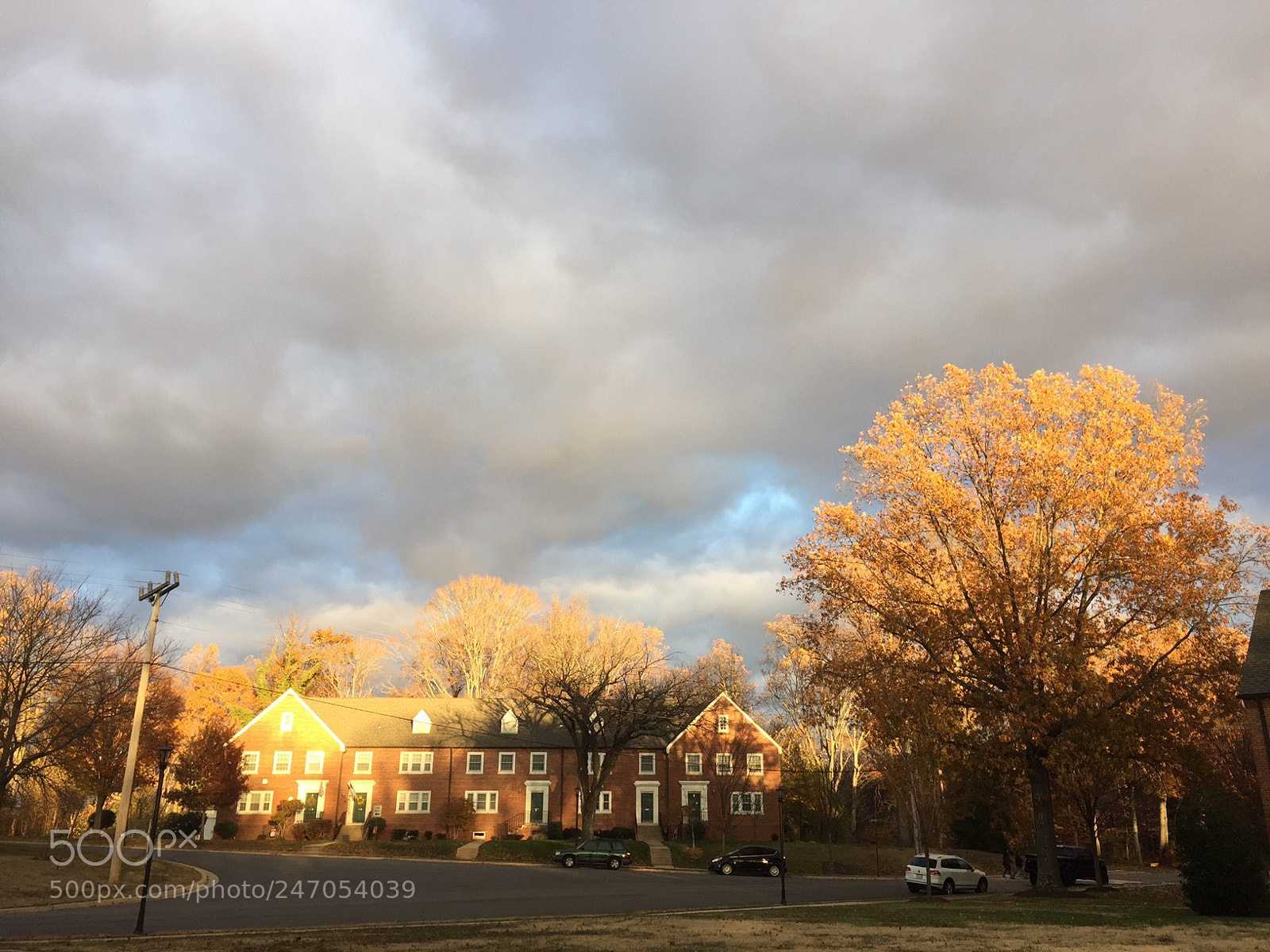 Apple iPhone 6 Plus sample photo. Alight photography