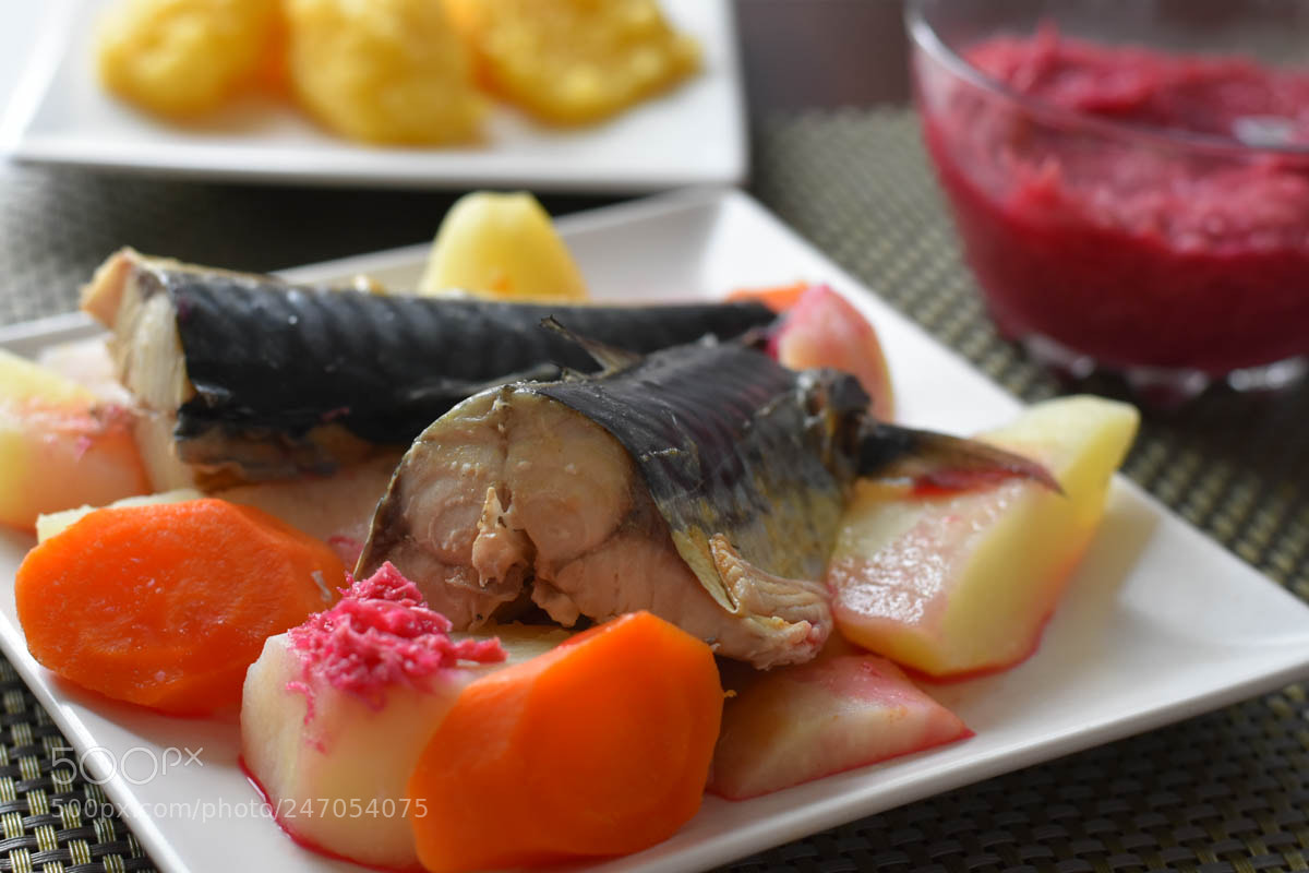 Nikon D7200 sample photo. Rasol de macrou cu photography