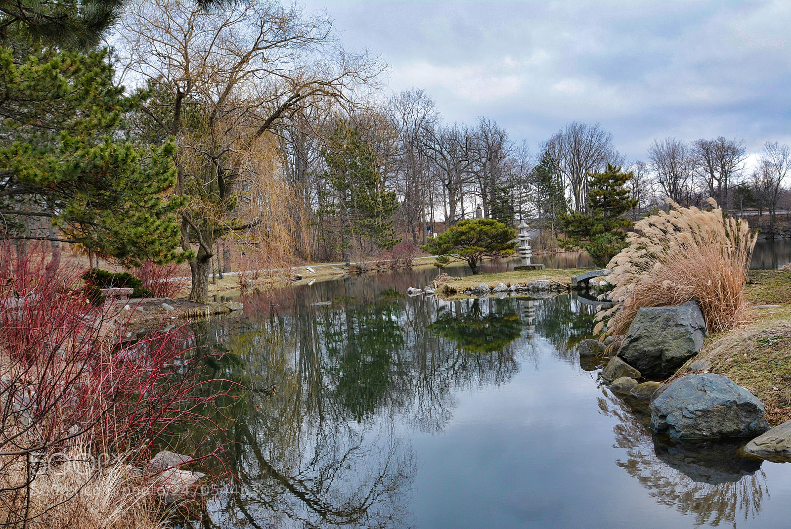 Nikon D7100 sample photo. Japanese gardens spring walk. photography