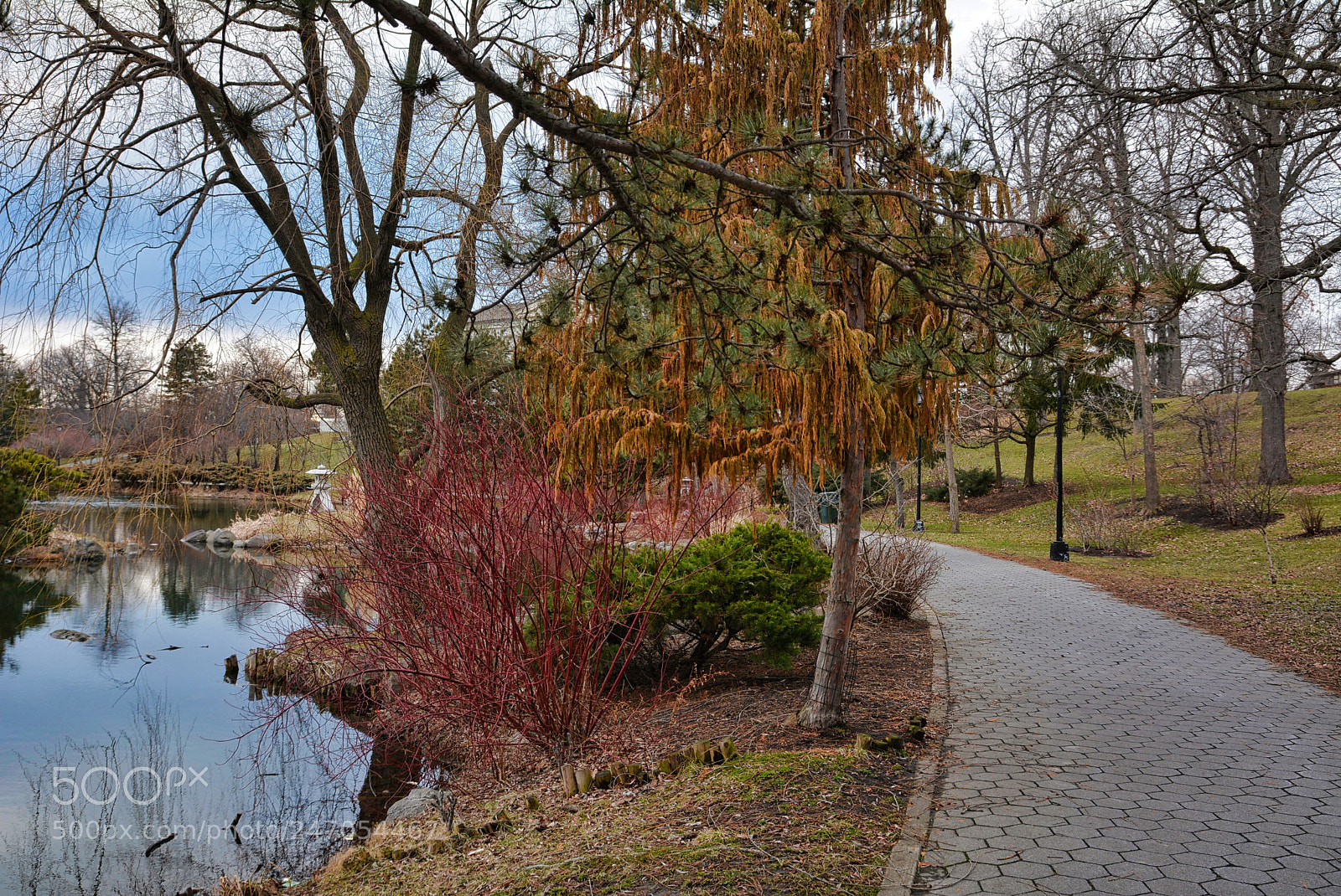Nikon D7100 sample photo. Japanese gardens spring walk. photography