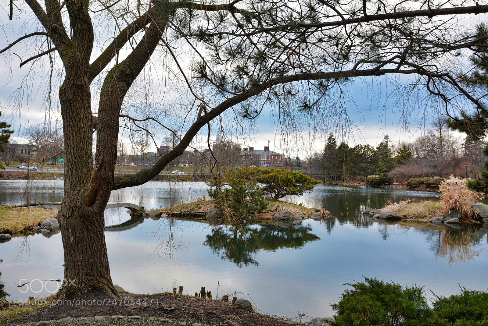 Nikon D7100 sample photo. Japanese gardens spring walk. photography