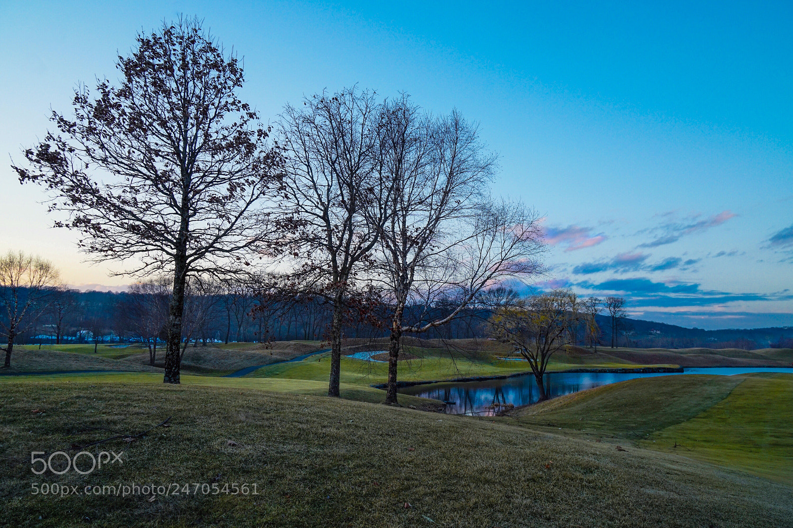 Sony a6300 sample photo. Blues, pinks and greens photography