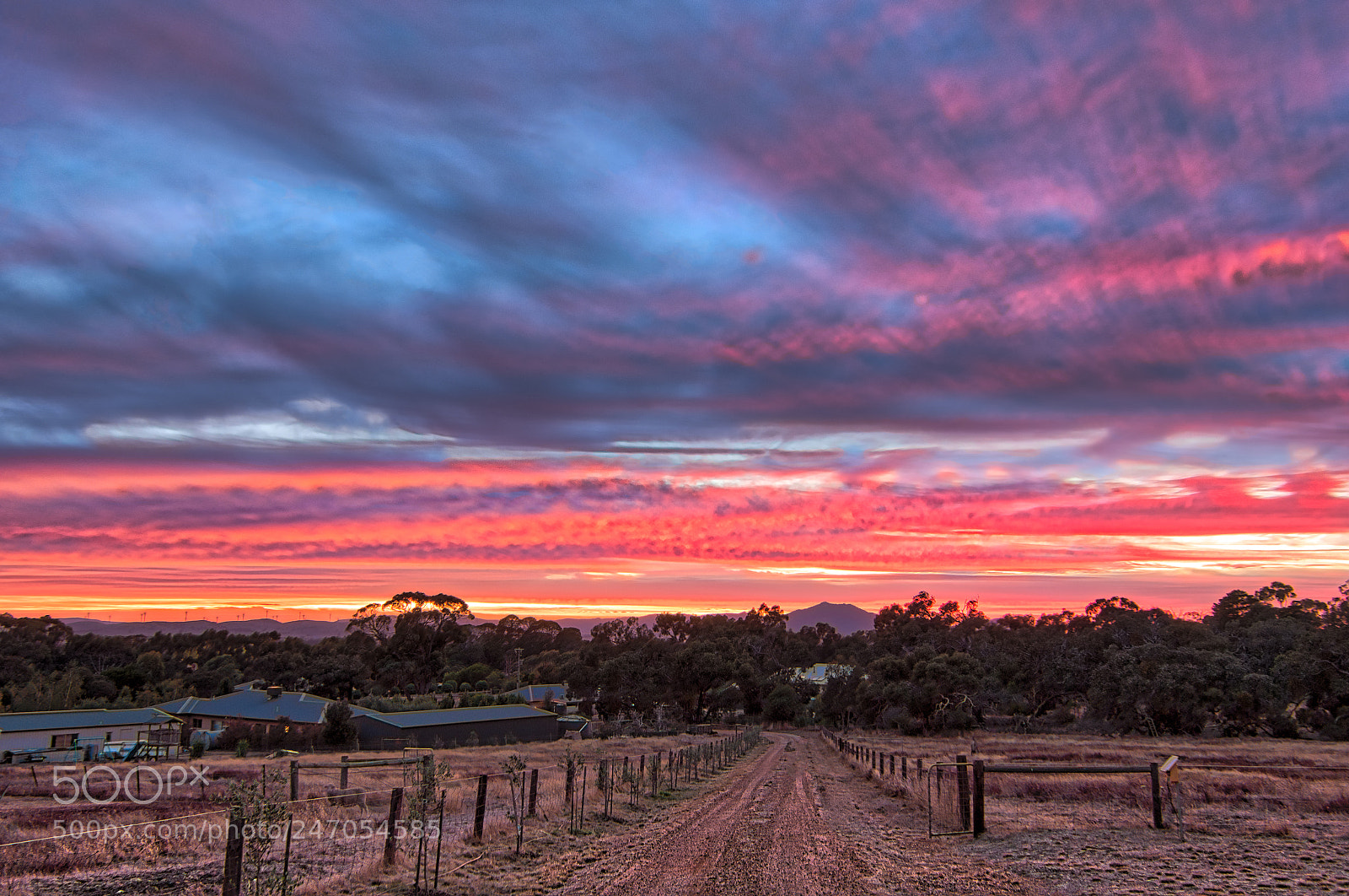 Nikon D500 sample photo. Pink sunrise photography