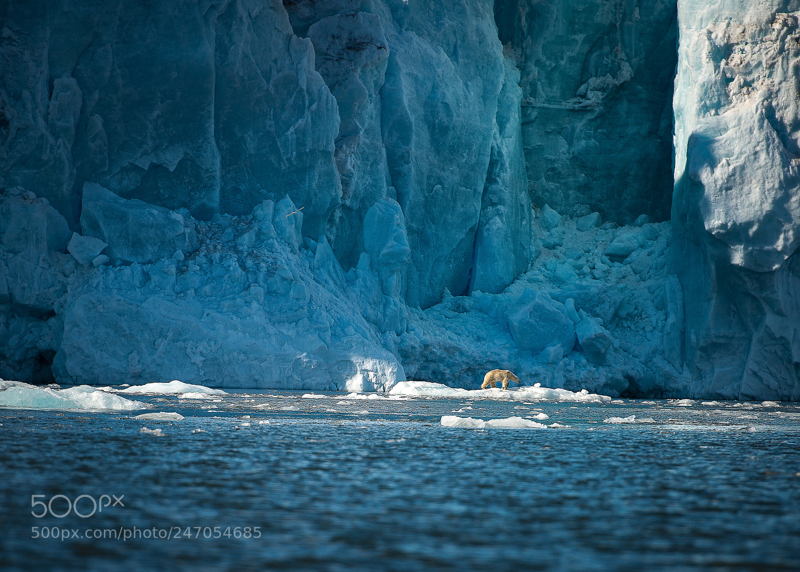 Nikon D800 sample photo. Mr.ice photography