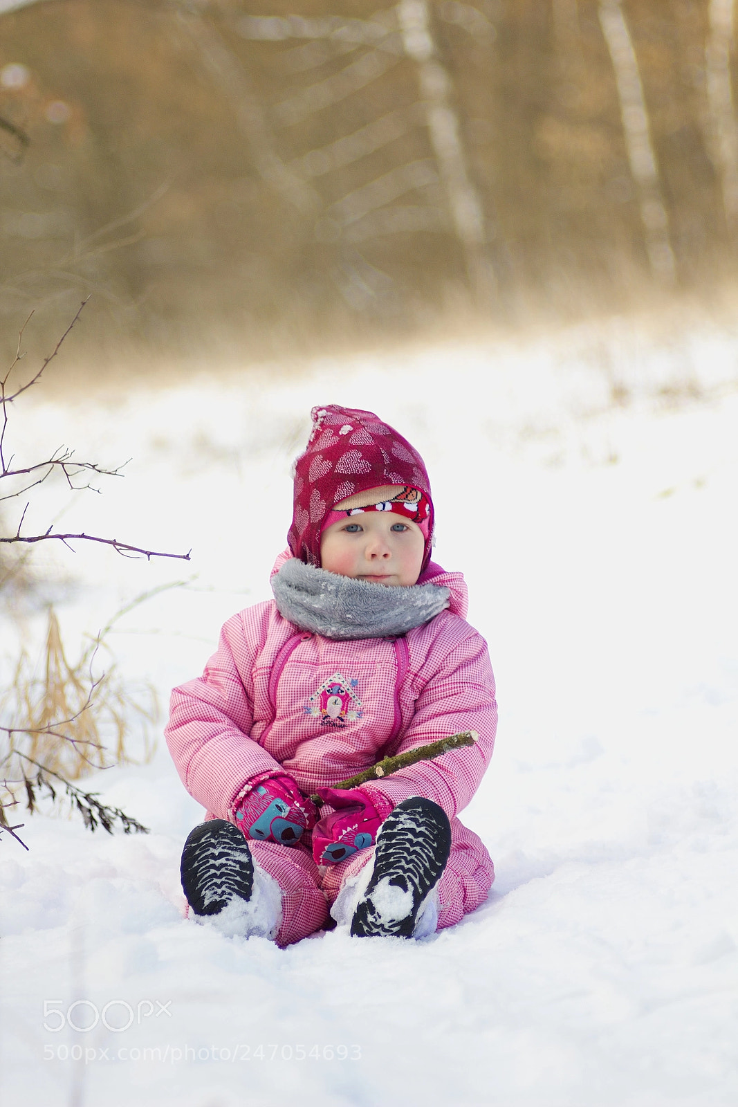 Canon EOS 550D (EOS Rebel T2i / EOS Kiss X4) sample photo. Winter relax ❄️ photography