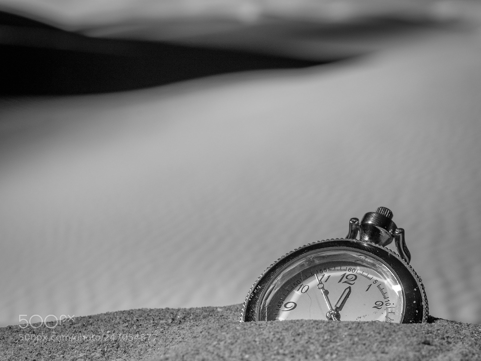 Nikon D7200 sample photo. Pocket watch buried into photography