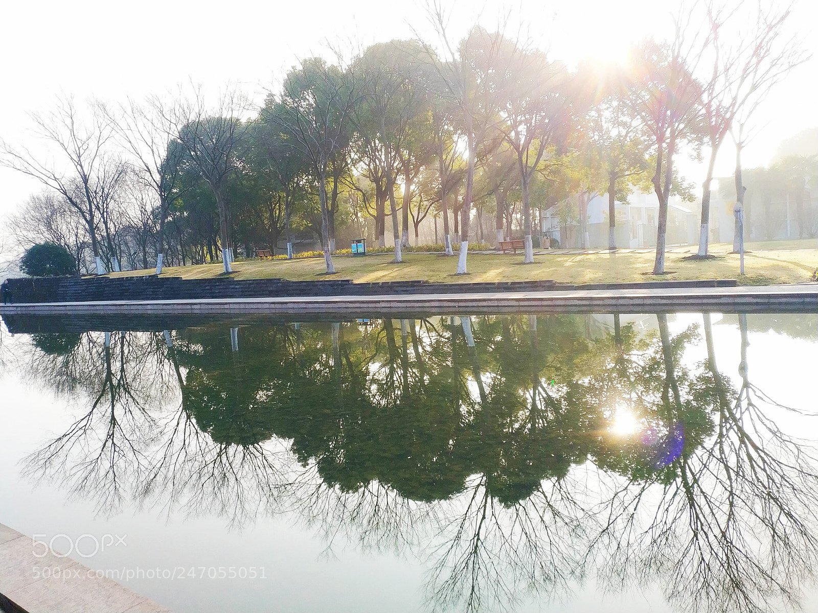 Xiaomi MIX 2 sample photo. Morning 1 photography