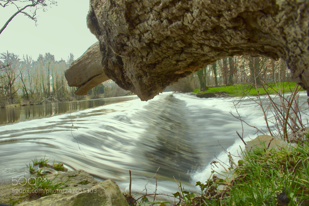 Nikon D5600 sample photo. Je te surveille photography