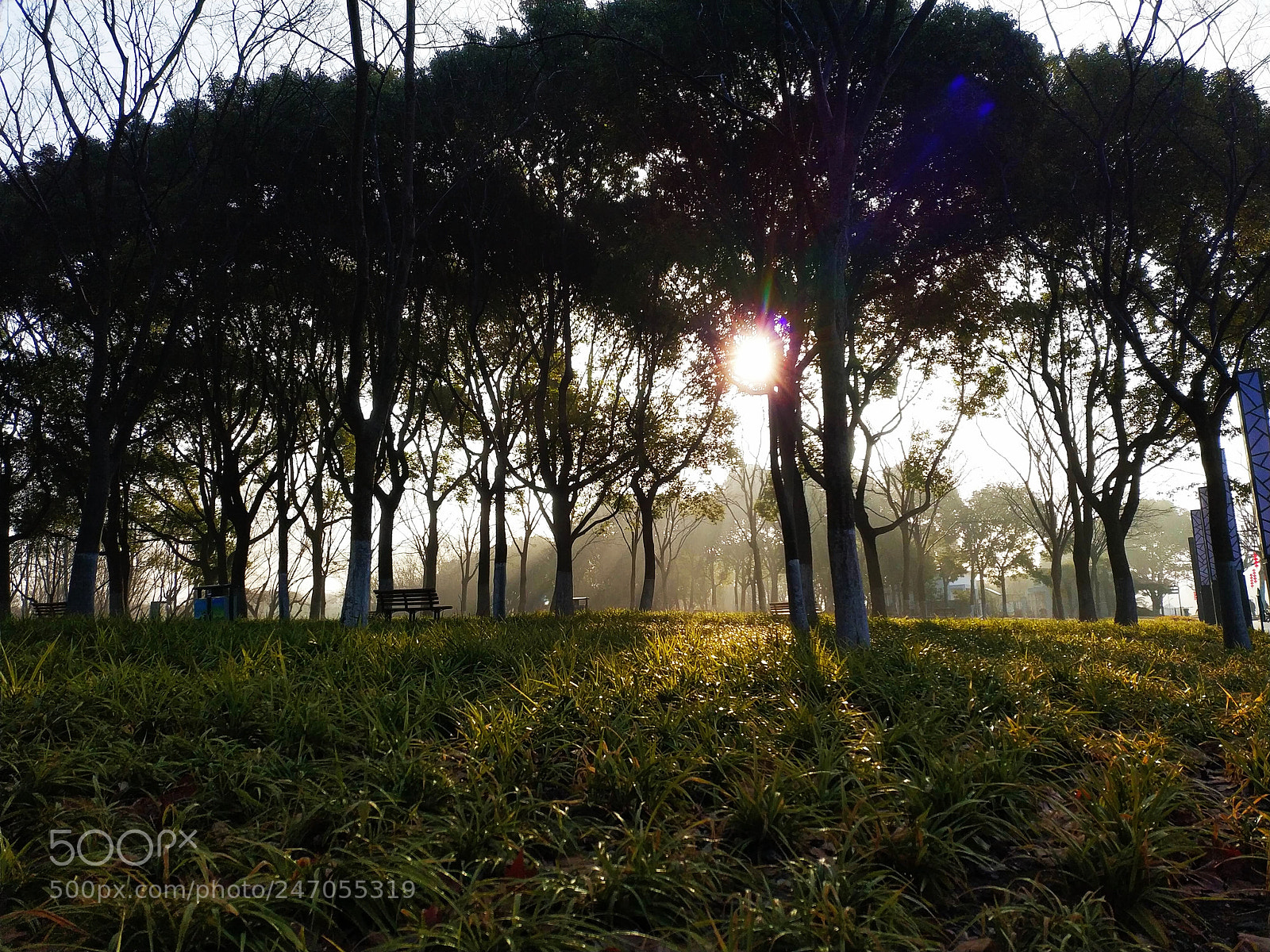 Xiaomi MIX 2 sample photo. Morning, 2 photography