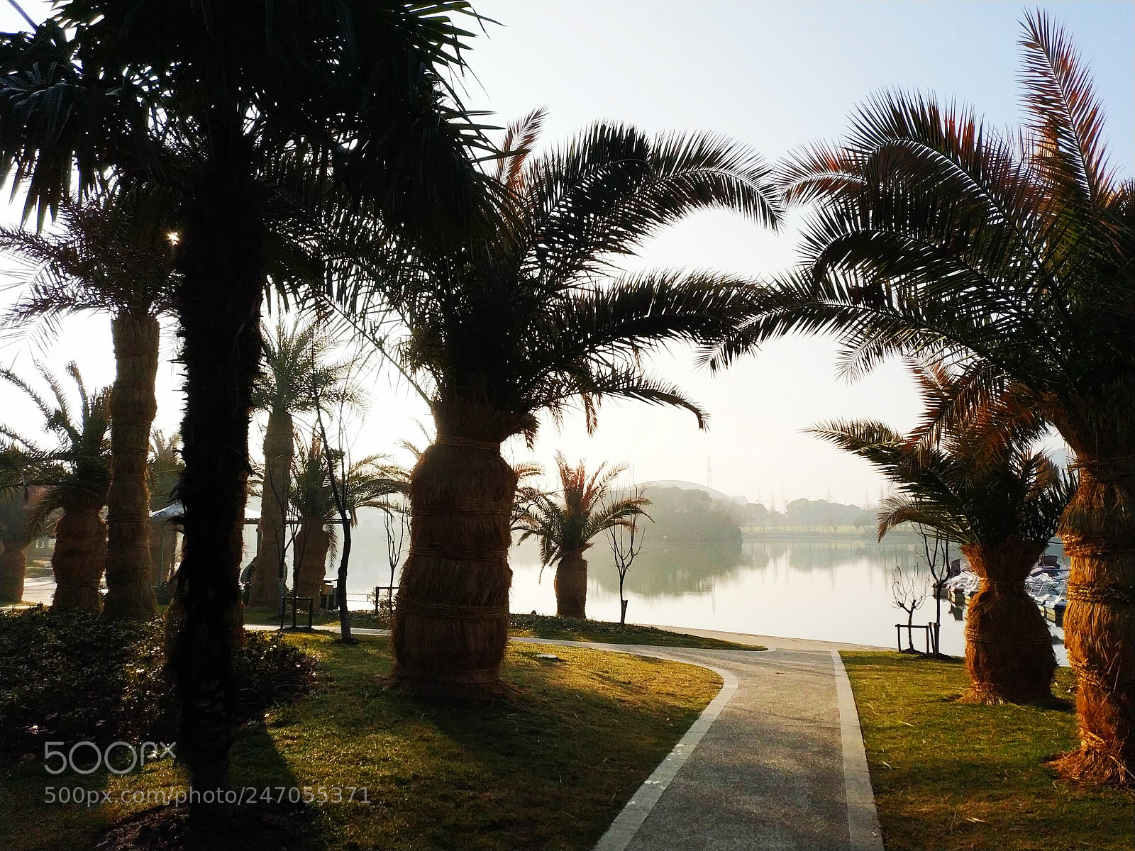 Xiaomi MIX 2 sample photo. Morning, 3 photography