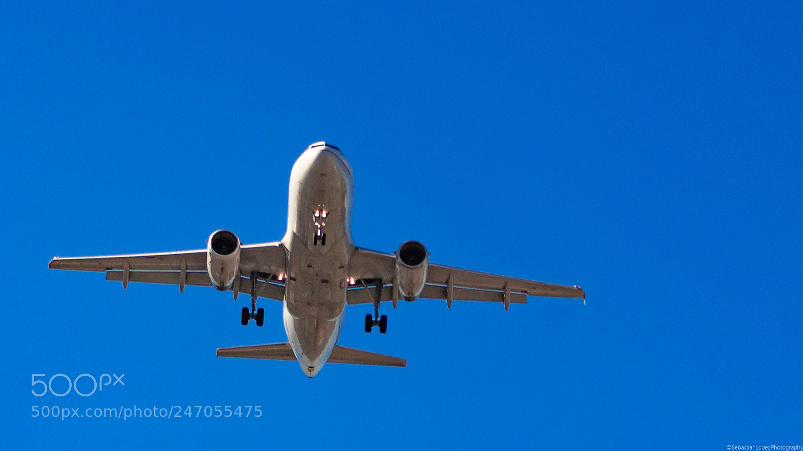 Canon EOS 700D (EOS Rebel T5i / EOS Kiss X7i) sample photo. Flying through blue skies photography