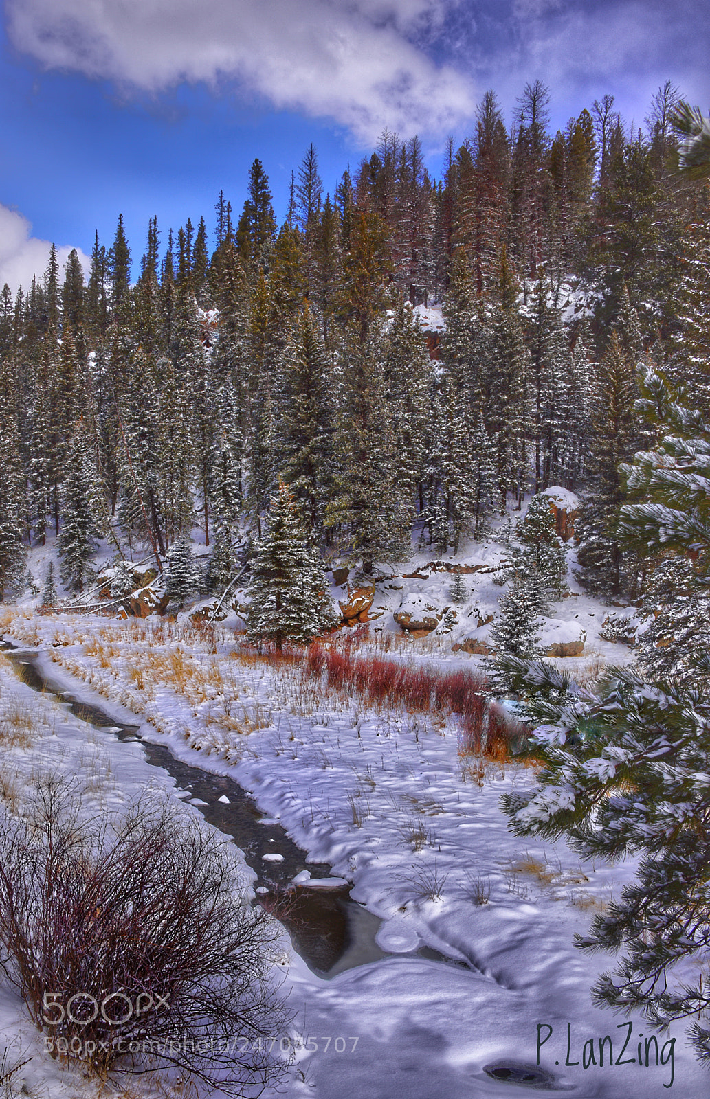 Nikon D810 sample photo. Snow in the jemez photography