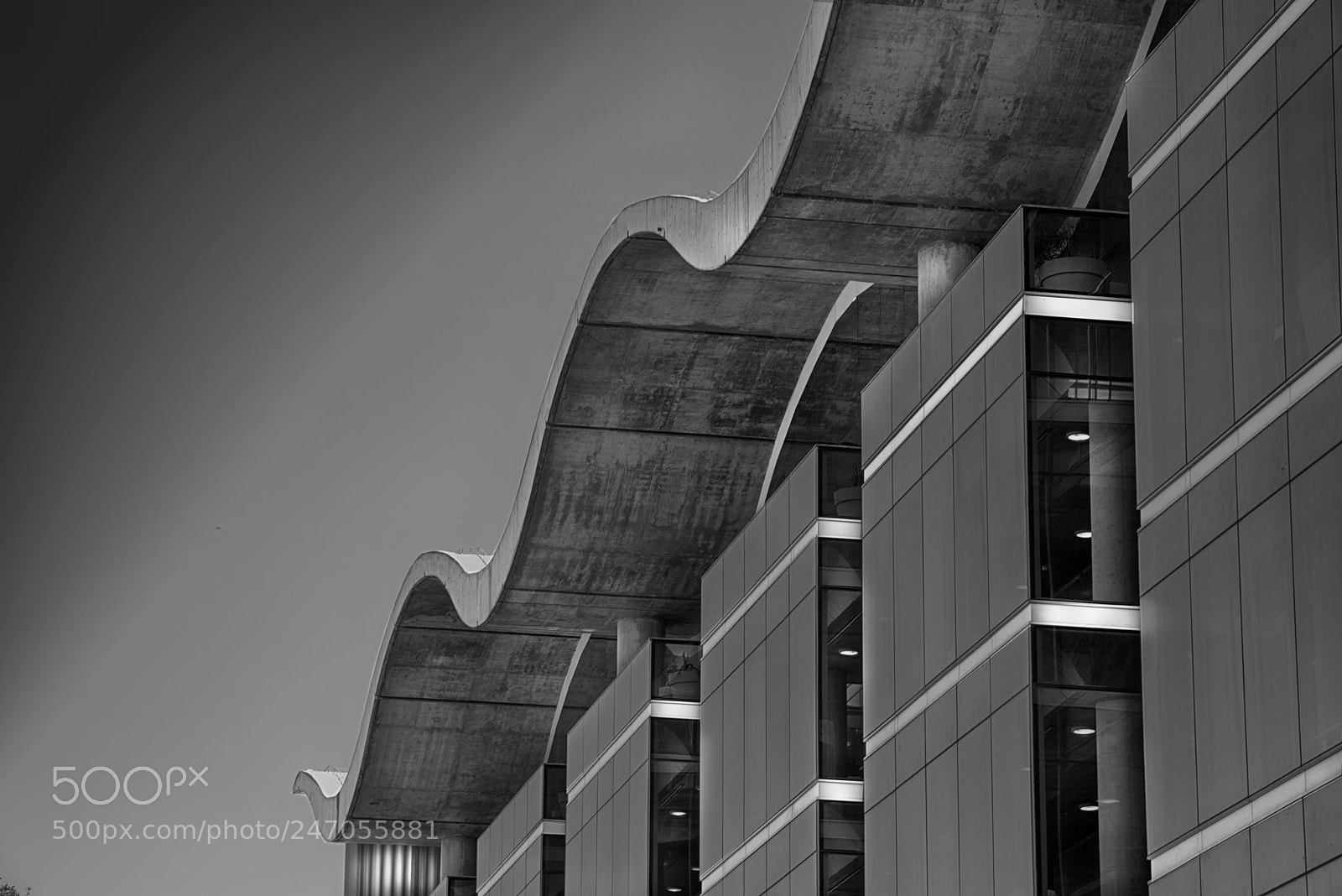 Nikon D810 sample photo. Buenos aires photography