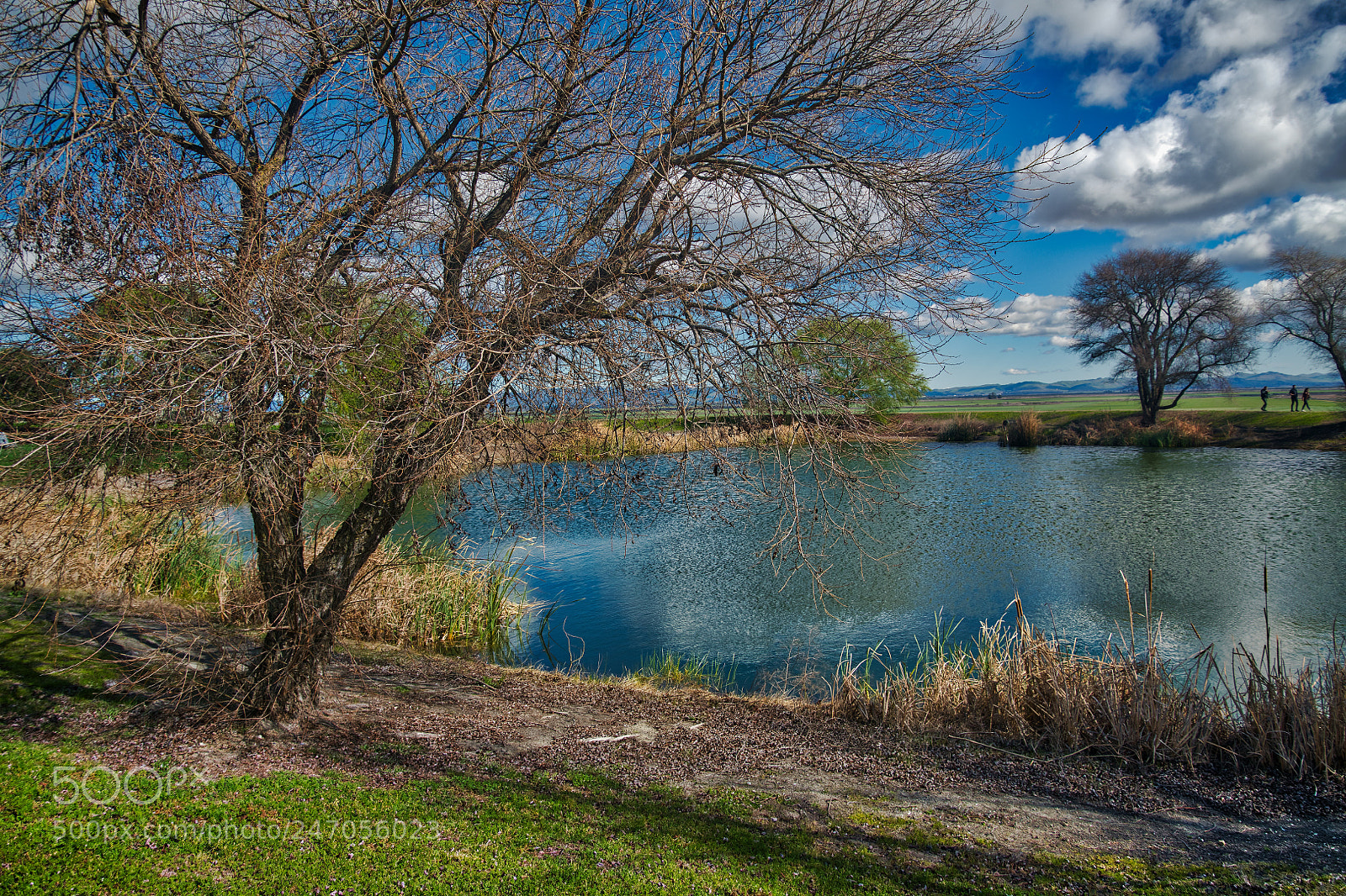Nikon D850 sample photo. Pond at ram's gate photography
