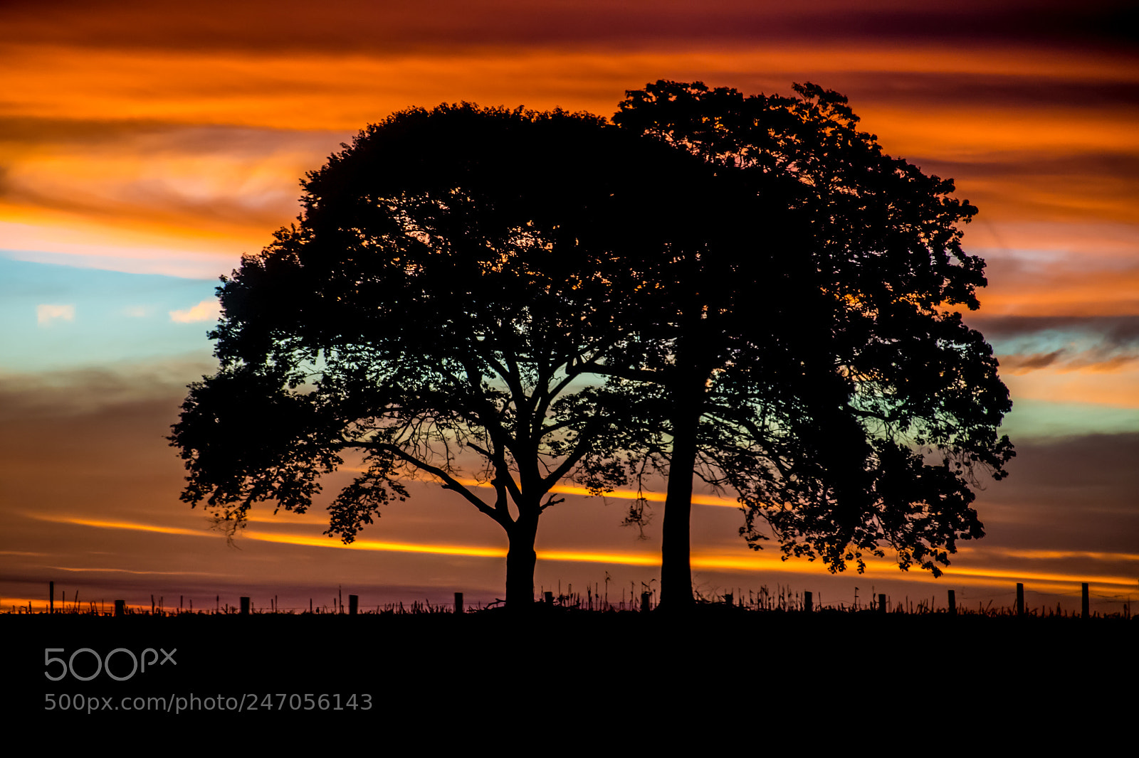 Nikon D7100 sample photo. Sunset and silhouettes photography