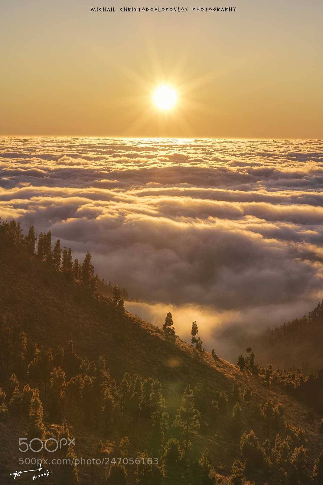 Nikon D810 sample photo. Teide (tenerife) photography