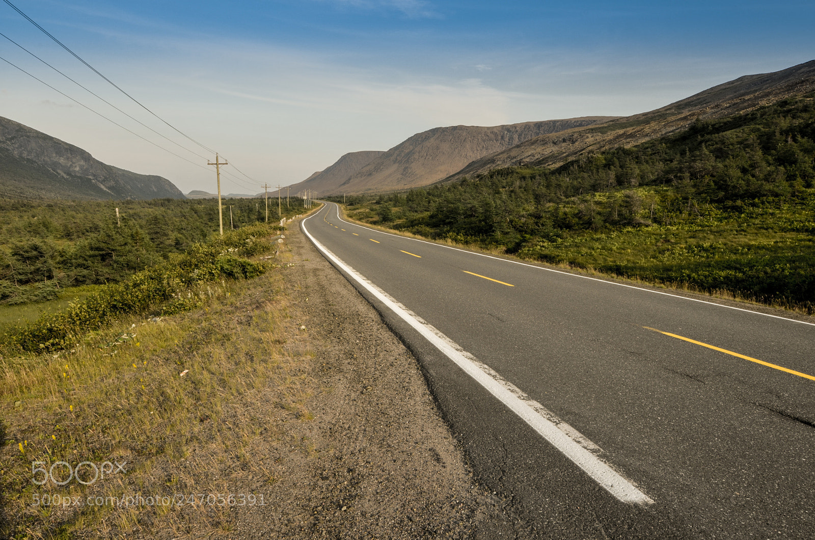 Nikon D5100 sample photo. Stretching out in front photography