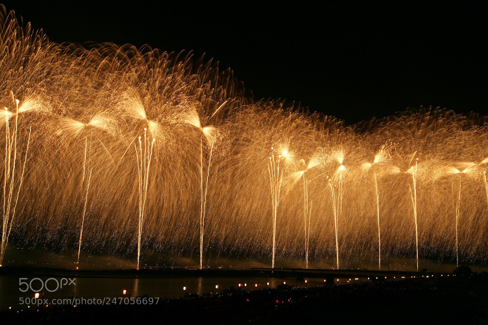 Canon EOS-1Ds Mark II sample photo. 新潟県長岡市‐復興支援花火フェニックス photography
